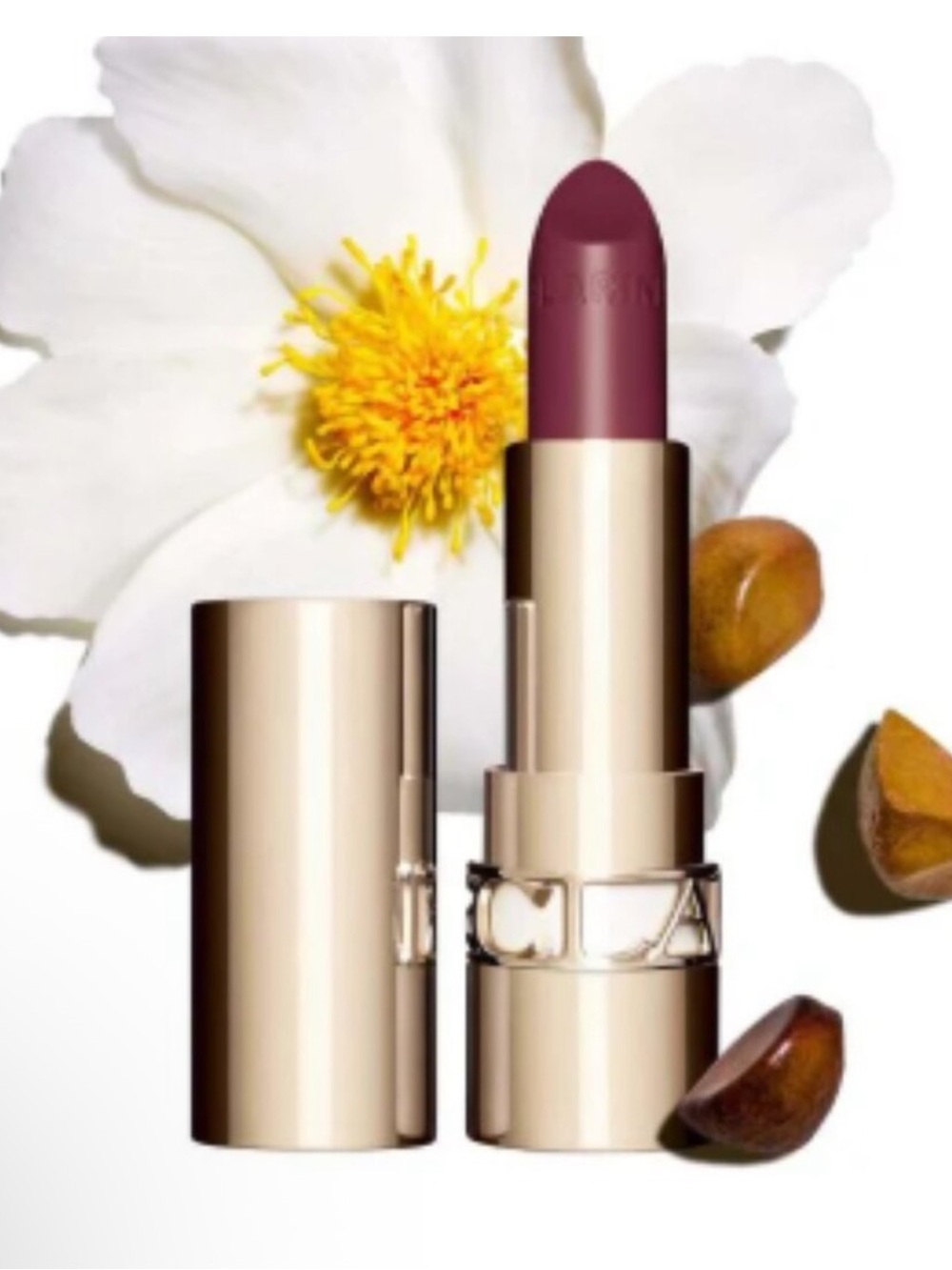 Clarins Joli Rouge 744 Soft Plum NEW $41